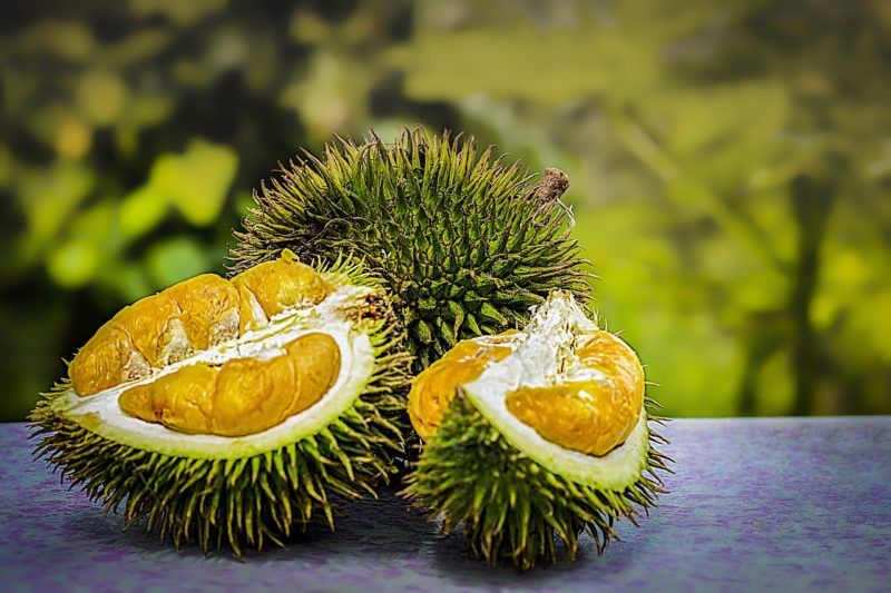 Is Durian Good Or Bad For Humans?